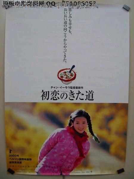 购买假新加坡水电费账单